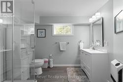 lower level bathroom - 
