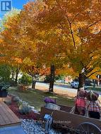 Front of Home - Fall Photo - 