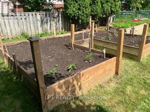 Garden - Fall Photo - 34 Cedar Creek Road, Springwater, ON - Outdoor