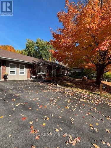 Driveway - Fall Photo - 34 Cedar Creek Road, Springwater, ON - Outdoor