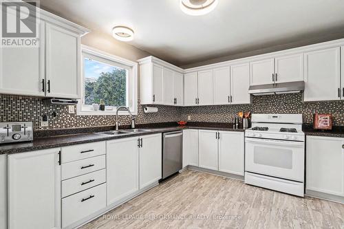 1606 Westport Crescent, Ottawa, ON - Indoor Photo Showing Kitchen With Double Sink