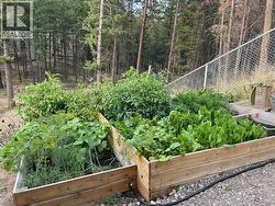 Summer photo of garden area - 