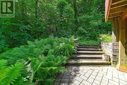 4 Ann Street, Halton Hills, ON - Outdoor