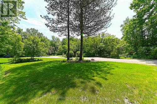 4 Ann Street, Halton Hills, ON - Outdoor