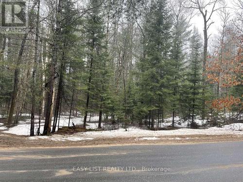 0 Dwight Beach Road, Lake Of Bays, ON 