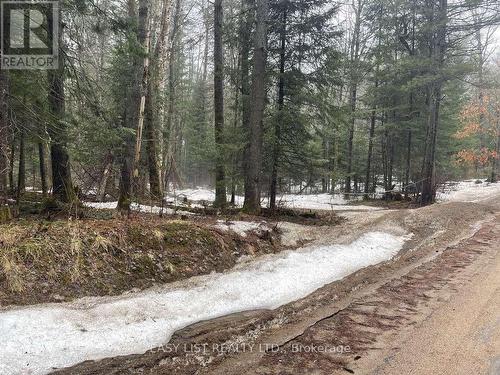 0 Dwight Beach Road, Lake Of Bays, ON 