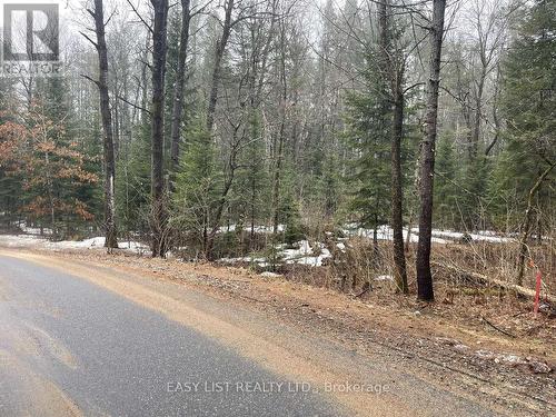 0 Dwight Beach Road, Lake Of Bays, ON 