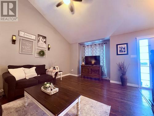 9 Comfort Cove Road, Campbellton, NL - Indoor Photo Showing Living Room