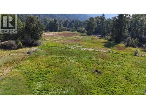 3850 Blythe-Rhone Road, Westbridge, BC - Outdoor With View