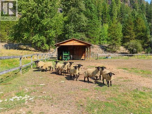 3850 Blythe-Rhone Road, Westbridge, BC - Outdoor