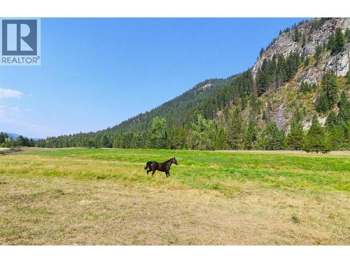 3850 Blythe-Rhone Road, Westbridge, BC - Outdoor With View