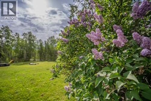 6313 Archie Meadow Road, Forest Grove, BC - Outdoor