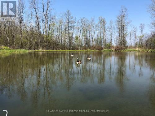 Nearly a quarter acre pond - 339 Elmbrook Road, Prince Edward County (Sophiasburg Ward), ON - Outdoor With Body Of Water With View