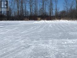 Ponds make great ice rinks in winter! - 