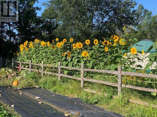 339 Elmbrook Road, Prince Edward County (Sophiasburg Ward), ON - Outdoor