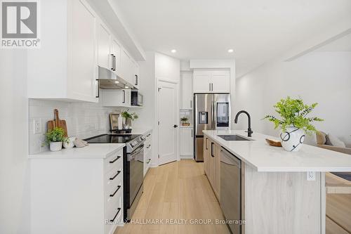 120 Lynn Coulter Street, Ottawa, ON - Indoor Photo Showing Kitchen With Upgraded Kitchen