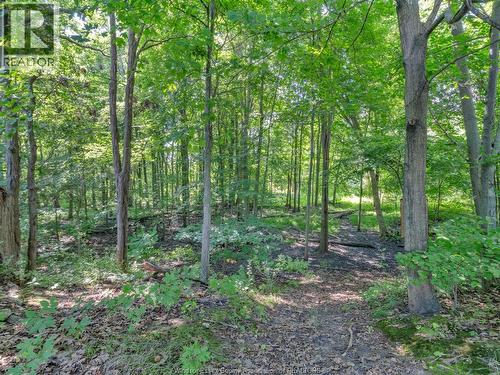 2310 Hickson Rd., Leamington, ON - Outdoor