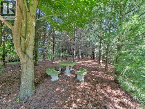 2310 Hickson Rd., Leamington, ON - Outdoor