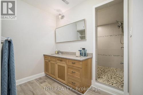 Basement Bedroom Ensuite - 2465 Marchurst Road, Ottawa, ON - Indoor
