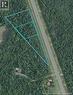 3.2 Acres Nelson Street, Miramichi, NB 
