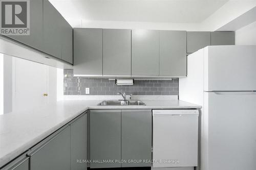 206 - 316 Savard Avenue, Ottawa, ON - Indoor Photo Showing Kitchen With Double Sink