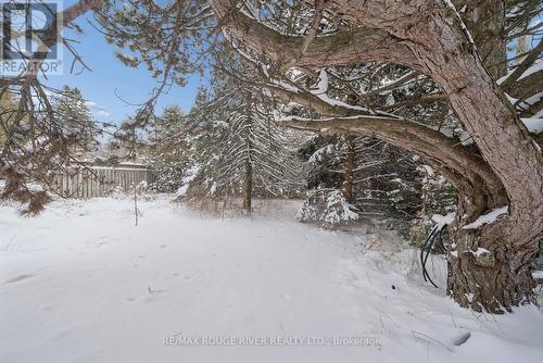 1277 Old Orchard Avenue, Pickering, ON - Outdoor