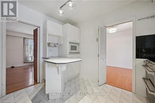 123 Lorraine Avenue, Kitchener, ON - Indoor Photo Showing Kitchen