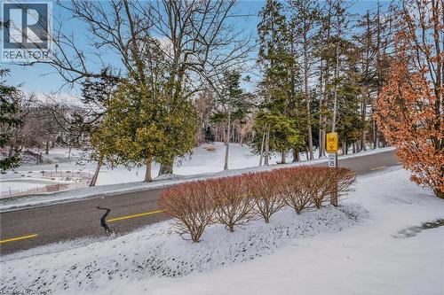 190 Argyle Street Unit# 31, Simcoe, ON - Outdoor With View