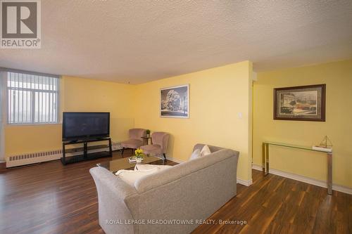 #806 - 2301 Derry Road W, Mississauga, ON - Indoor Photo Showing Living Room
