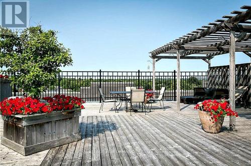 Roof top terrace. Breathtaking views - 412 - 225 Alvin Road N, Ottawa, ON - Outdoor With Deck Patio Veranda