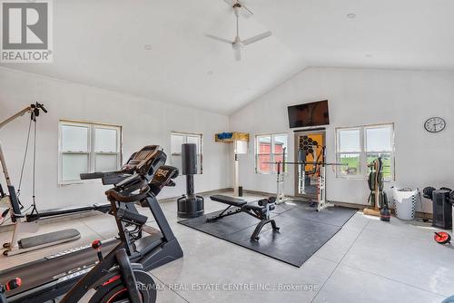 21575 Heritage Road, Thames Centre, ON - Indoor Photo Showing Gym Room