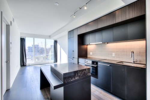 Cuisine - 511-1288 Rue St-Antoine O., Montréal (Ville-Marie), QC - Indoor Photo Showing Kitchen With Upgraded Kitchen