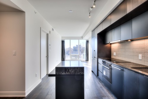 Cuisine - 511-1288 Rue St-Antoine O., Montréal (Ville-Marie), QC - Indoor Photo Showing Kitchen With Upgraded Kitchen
