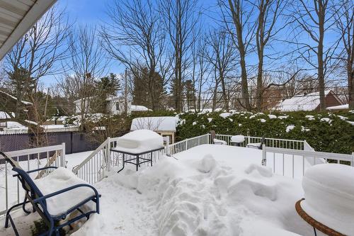 Cour - 4464 Rue D'Angora, Terrebonne (Terrebonne), QC - Outdoor