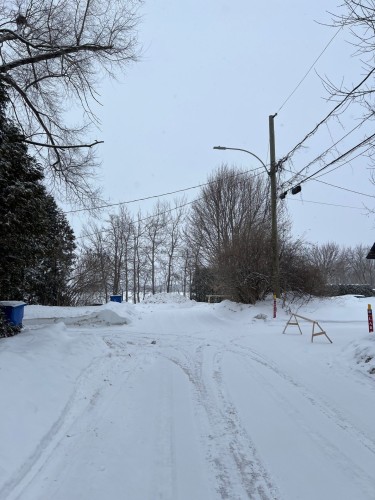 Lot - 176 Ch. Dawson, Rivière-Beaudette, QC 