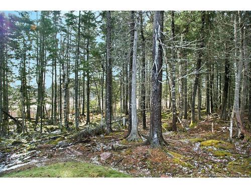 50 Chamberlain Rd, Quispamsis, NB 