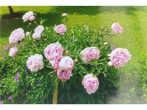 13562 Route 10, Berwick, NB 