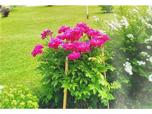 13562 Route 10, Berwick, NB 