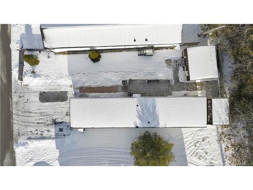 17 Tulip St, Saint John, NB 