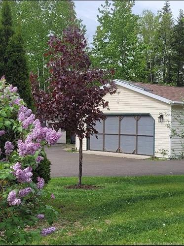 310 Route 102, Burton, NB 