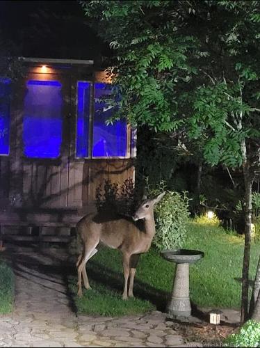 310 Route 102, Burton, NB 