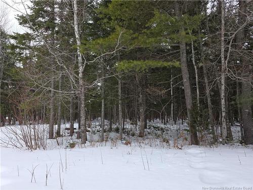 534 Cormier Village Bye Rd, Cocagne, NB 