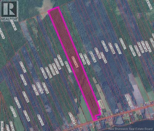 140 Acres Hwy 425, Whitney, NB 