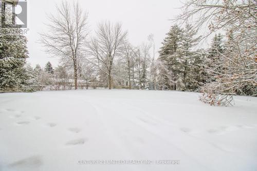 3017 Lakefield Road, Selwyn, ON - Outdoor With View