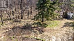 109 BENNETT LAKE ROAD Tay Valley, ON K0G 1A0