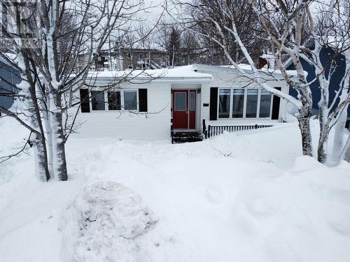 31 Neptune Road, St. John'S, NL - Outdoor