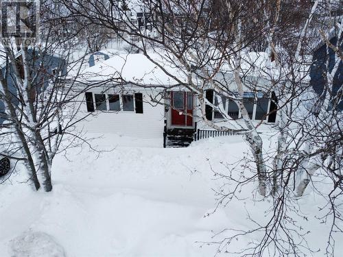 31 Neptune Road, St. John'S, NL - Outdoor