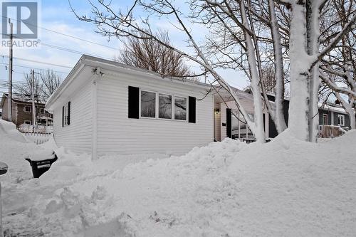 31 Neptune Road, St. John'S, NL - Outdoor