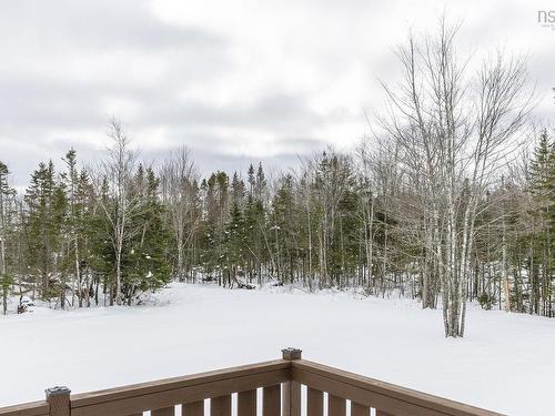 88 Ridge Wood Court, Belnan, NS 