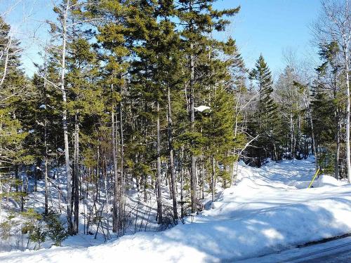 13 Trout Lake Road, New Albany, NS 